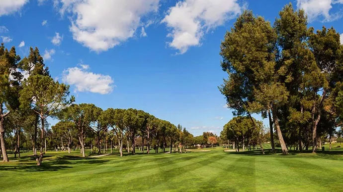 Spain golf courses - Real Club Pineda de Sevilla