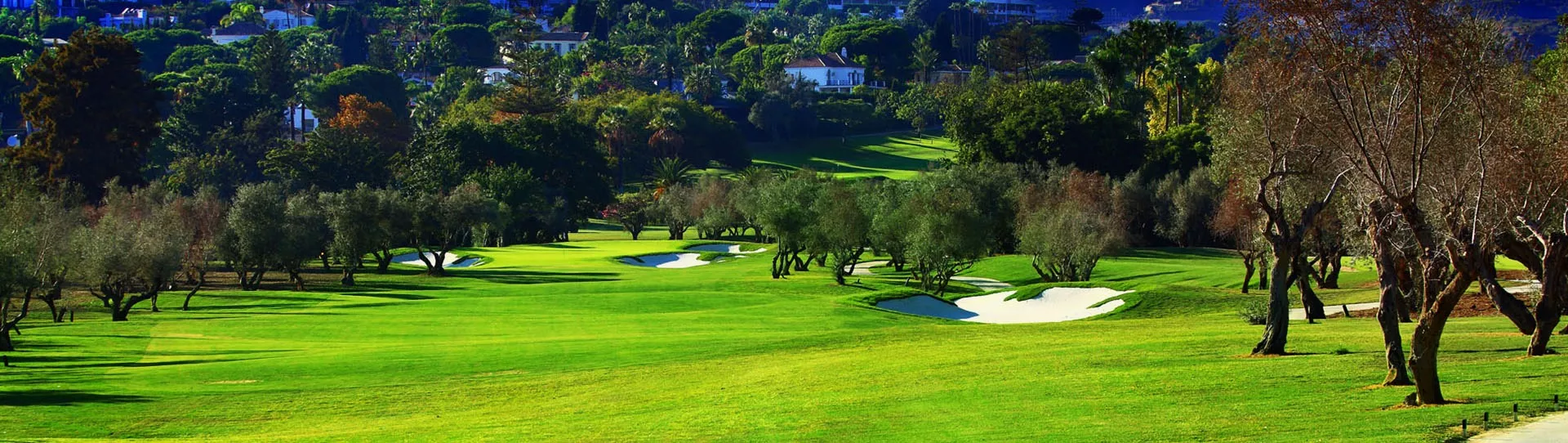 Spain golf courses - Real Club de Golf Las Brisas - Photo 1