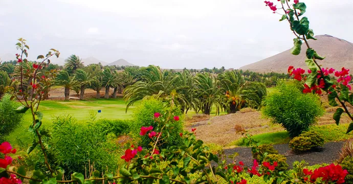 Spain golf courses - Golf Costa Teguise - Photo 6