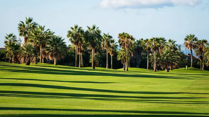 Spain golf courses - Costa Adeje Championship Golf Course - Photo 11