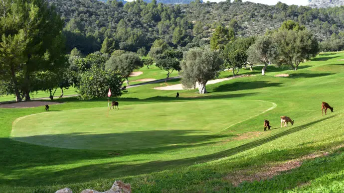 Spain golf courses - Son Termes Golf Course - Photo 5