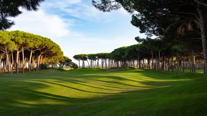 Spain golf courses - Empordá Golf Forest Course - Photo 5