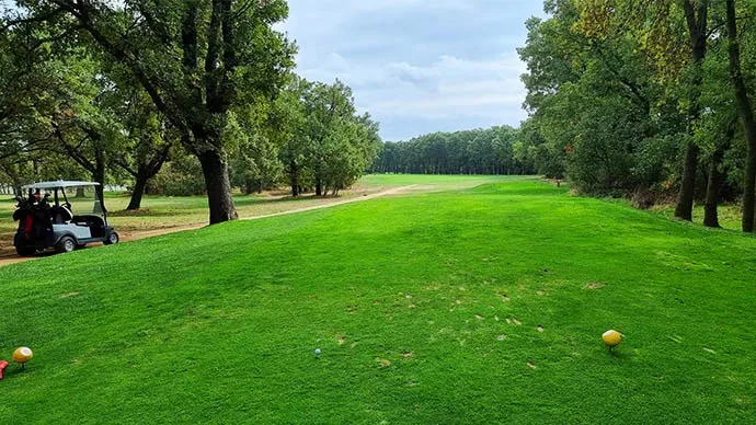 Spain golf courses - La Herreria Golf Course - Photo 6